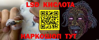 шишки Краснознаменск