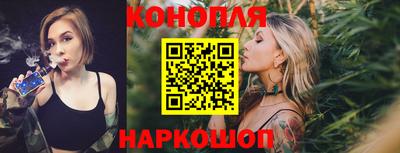 шишки Краснознаменск