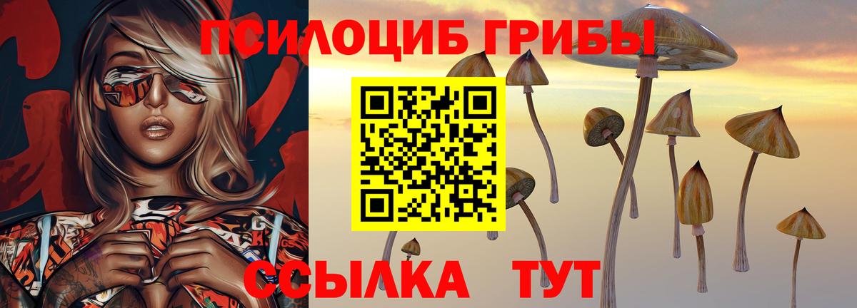 Псилоцибиновые грибы ЛСД Воронеж